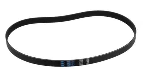 Fits Taylor 028182 3416 123 V-Belt, Poly, 460J10
