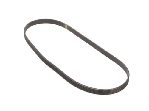 Fits Stoelting 340 J 15 023 Belt, Poly-V, 340J, 34" Long, 6 Groove for SC118, SO218, SO218B