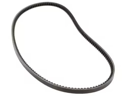 Fits Stoelting BX-55 Drive Belt for CC303W, CC303 (Culvers), CC303