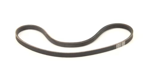 Fits Electrolux Professional 4796 7 V-Belt, Drive, 610M