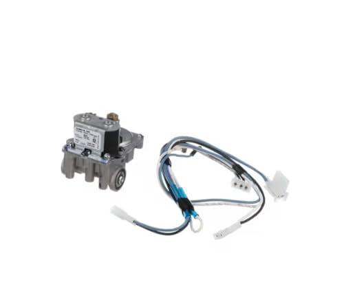 Gas Valve with Coils Fits Whirlpool 25M01A-166 – Natural Gas, 120V, 60Hz