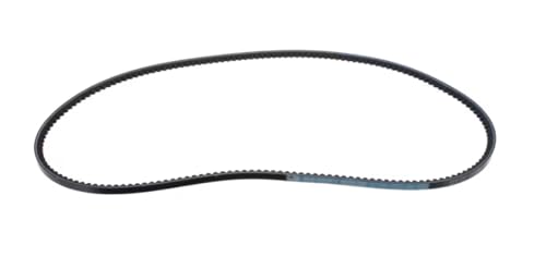 Fits Globe 1820NV 9501 Belt, Lower Motor, GSM130/GSM175