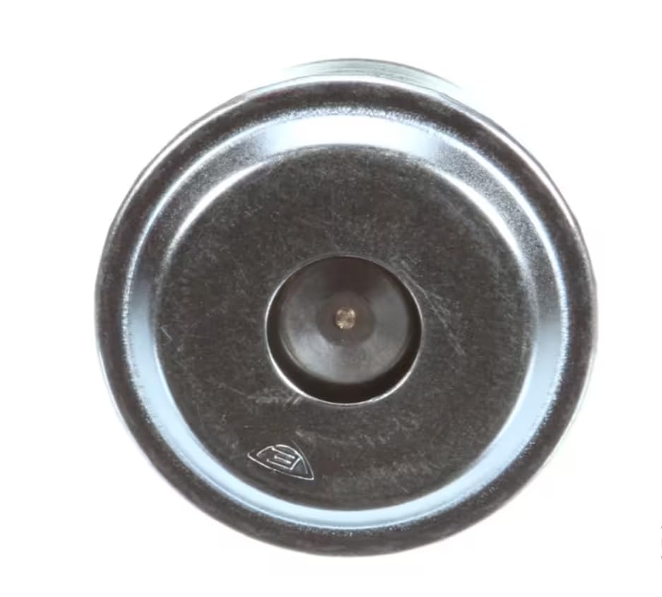 Fits Vulcan Hart 14220C GIC Buzzer for GL40E, GL80E, GS25E