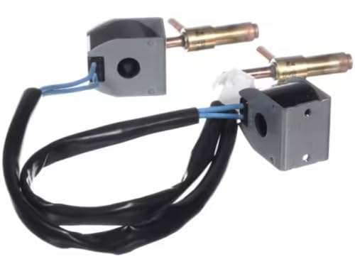 Fits Everest AC220V X298 H509 X228 Solenoid Valve Kit, 230 Volt