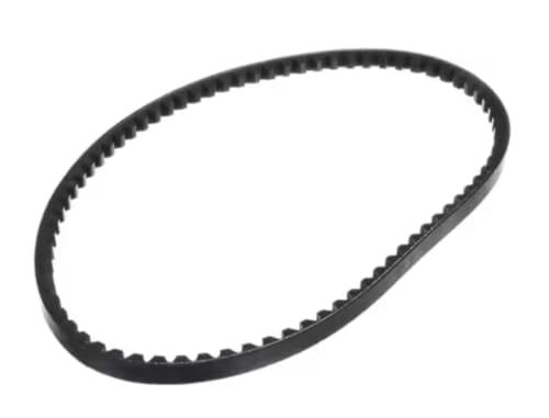 Fits Taylor X5 AX31 421948 167 Belt