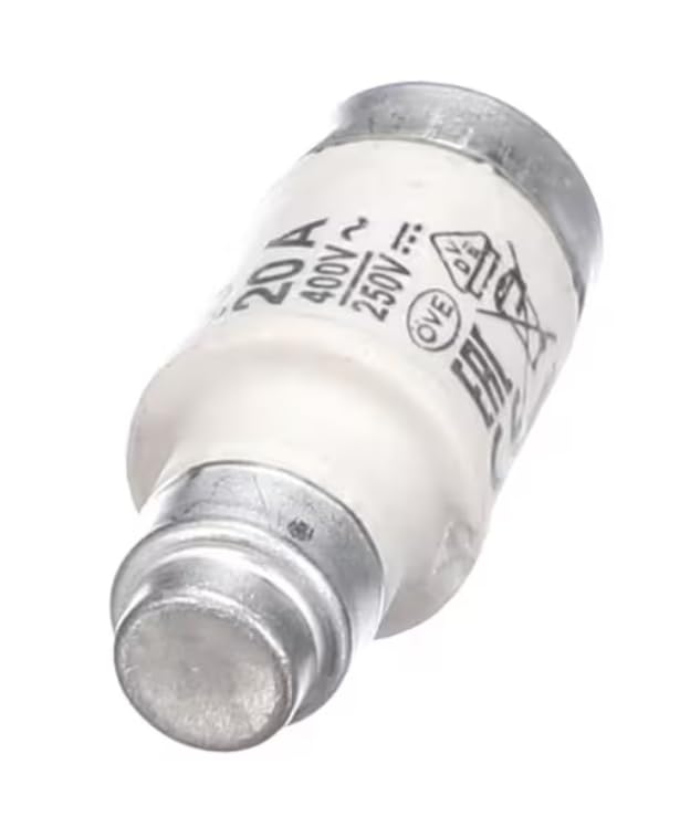 FTI gG 20A 400V 250V 2212001-01 Fuse, 250/400 Volt, 20 Amp for 10-10IN, 10-10IN/SK, 4-10CCi