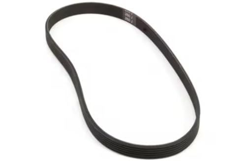 Fits Univex 13 210 Drive Belt, 6 Rib, 7510