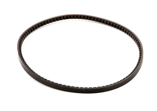Fits Taylor 3118* Belt, AX35