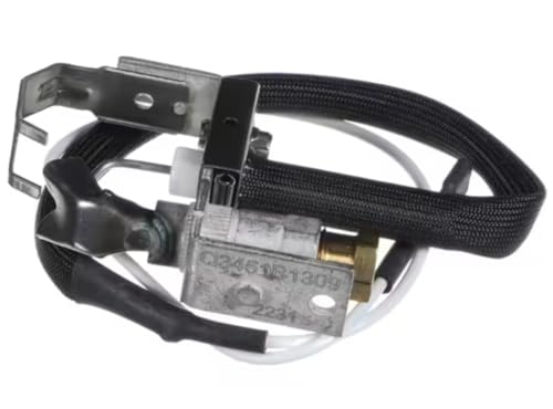 Fits Schwank 1103 Q3451B1309 2231 Pilot & Ignitor Assembly