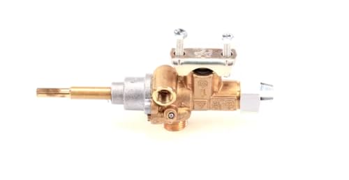 Fits Electrolux Professional CE-008S AD0608 60/13 Valve