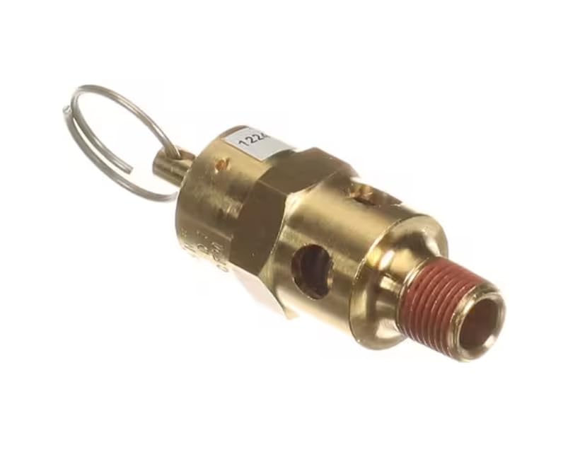 Fits Taylor 1224 Pressure Relief Valve, 180 PSI