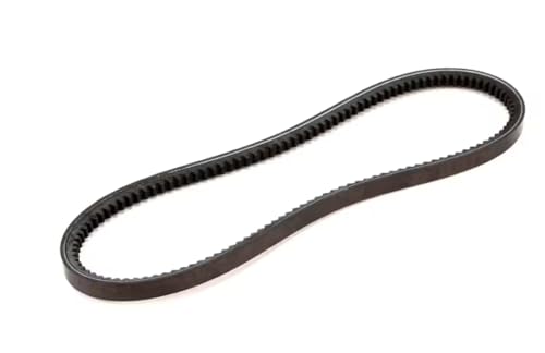 Fits Electro Freeze 153161 2218SS V-Belt, Right Hand for 145, 30T-CMT, 30T-RMT