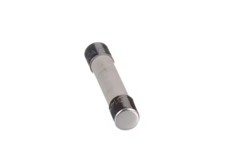 F30A/250V 314 Fuse, 250 Volt, 30 Amp for GTD65GBSJ0WS, GTD45EASJWS, GTD42EASJ1WW