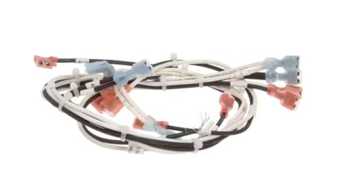 175808 REV D E209969 Wire Harness, Line Voltage, FBB for FBB-NC-120, FBB-NC-120-H, FBB-NC-1202