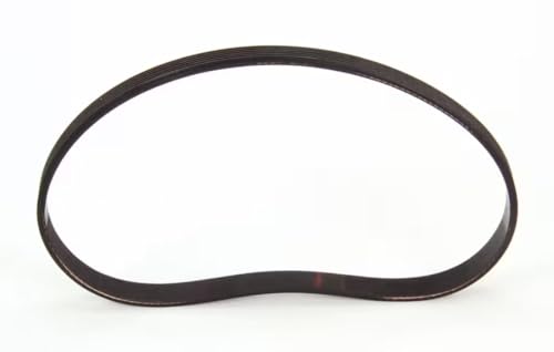 12 072 Blender Drive Belt for MS-8, MS-8-1H, MS-8-1H