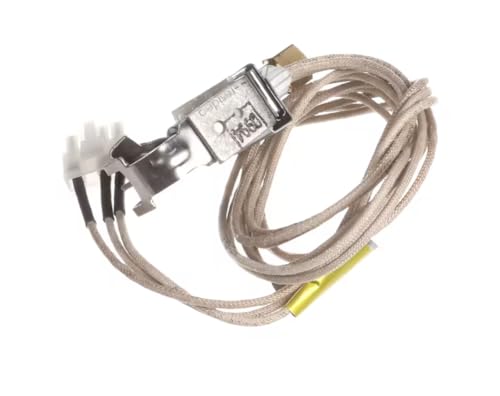 Fits Wood Stone Corp 2123 0994 Ignitor, Honeywell, Propane