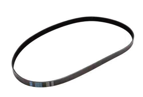 Fits Taylor 065639 1419-205 Belt, Poly