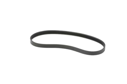 2215 556 Belt for 4KWTW5900JW0, 8TWTW4955JW0, WTW5100HW1