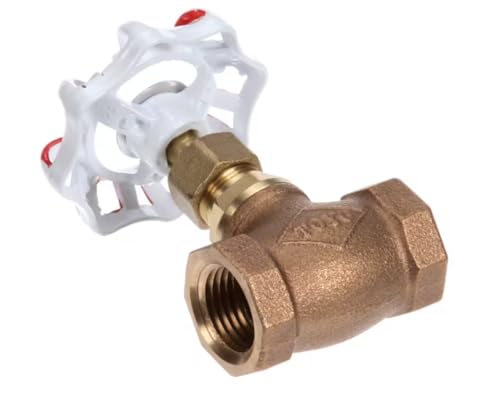 Fits Groen 210A CLASS 100 Globe Valve, 1/2" NPT for CNGB-24, NGB/3E, CNGB/3-24
