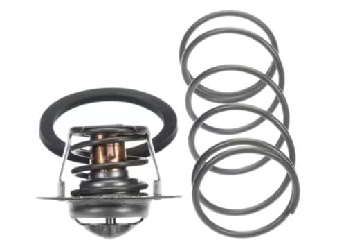 Fits Raypak 600572 105F Unitherm Governor Kit for 207A, 267A, 337A
