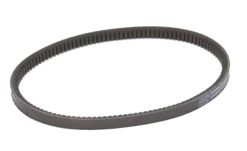 Fits Carpigiani 0640 Ref. AX24(610Li) 05/07 49237 Belt, Notched, Gearbox for K3B