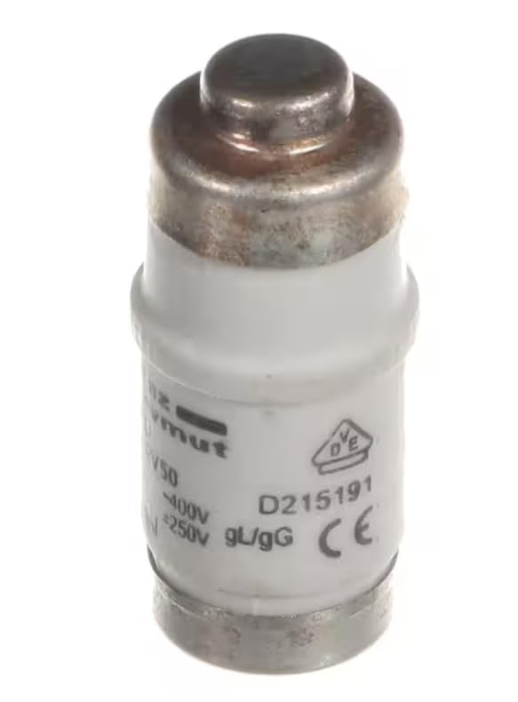 D215191 50A Fuse, 50 Amp for CTC10-10E, CTC10-20E, CTC20