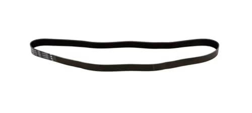 Fits Electrolux Professional 18 219 Belt, PJ1150