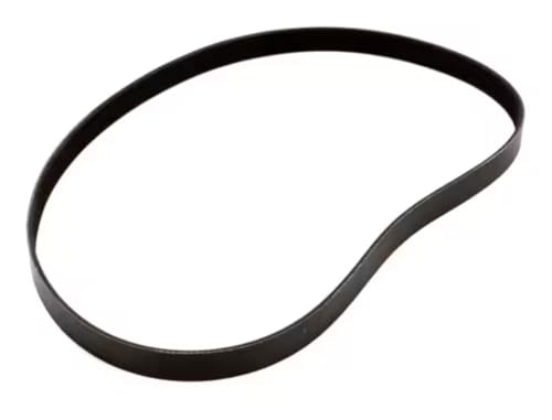 Fits Taylor 033142 4219 * 203 106 Poly V-Belt, 490J10