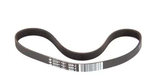 Fits Electrolux Professional 559 J 13 333 Belt, Poly V, 559 J for TRS1V, TRS24, Hopper