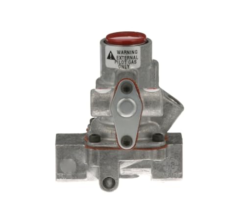 C86CS02 W1815 3/8 in/Out x 1/8 in Pilot in/Out Baso Safety Valve for Vulcan Hart 24S, C24S, V24
