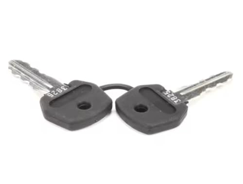 Fits Stoelting 3825 Keys, for 2 Position Switch for CC303 (Culvers), CC303, M202-209A