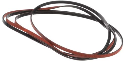2012020 049 B10 1545 Drive Belt, Dryer for WGD8500DC4, WGD8700EC0, WGD8120HC0