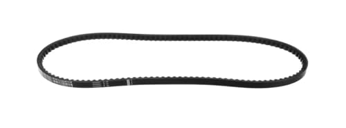 Fits York 3032251 V-Belt, Cogged Style, 21/32" Width, 56" Outer Circumference for RSV036A1MLTAA0A, Y22AC04M1KCNCH, V53AN34Q6KDECH0001
