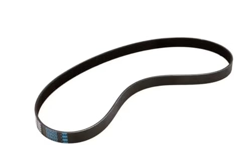 Fits Taylor 025633 4016 * 122 Belt, Poly V, 10 Rib, 43" x 1"