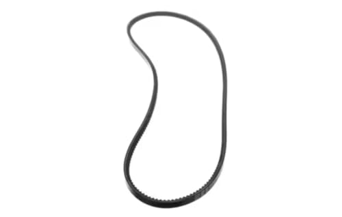 Fits DiversiTech AX53 1724SS 8324TGZX V Belt, Cogged Style, 1/2" Width, 55" Length
