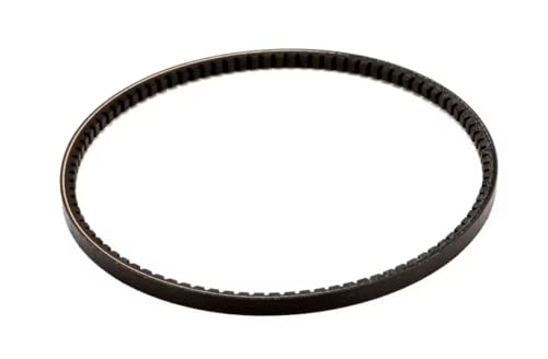 Fits Taylor 032769 4419 * 165 Belt Replacement